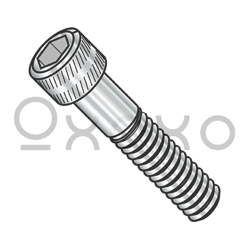 10-32X1/4 Fine Thread Socket Head Cap Screw Stainless Steel