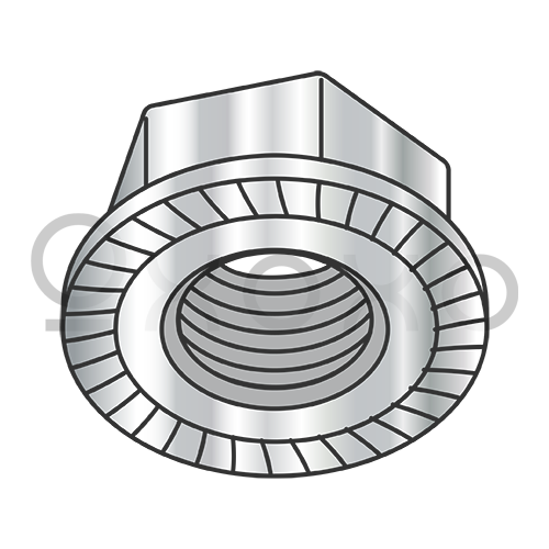 M10-1.5 Din 6923 Metric Hex Flange Nut Serrated A2 Stainless Steel