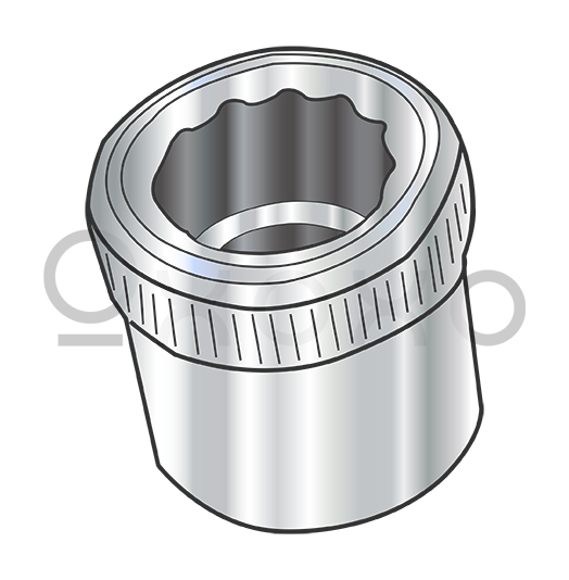 4-40 Socket Allen Nut 18-8 Stainless Steel