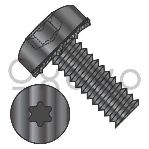 6-32X1/4  Six Lobe Pan Head External Tooth Sems Machine Screw Full Thread Black Zinc Bake