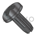 8-32X1/2  Phillips Pan Thread Cutting Screw Type 1 Fully Threaded Black Oxide