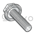 1/4-20X3/4  Serrated Hex Flanged Washer Machine Screw Full Thread 316 Stainless Steel