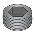 1  Dry Seal Socket Pipe Plug Plain